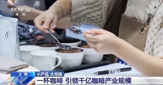 到美妆小瓶罐 看小产品如何撬动大市场PG麻将胡了2从一片树叶、一杯咖啡(图24)