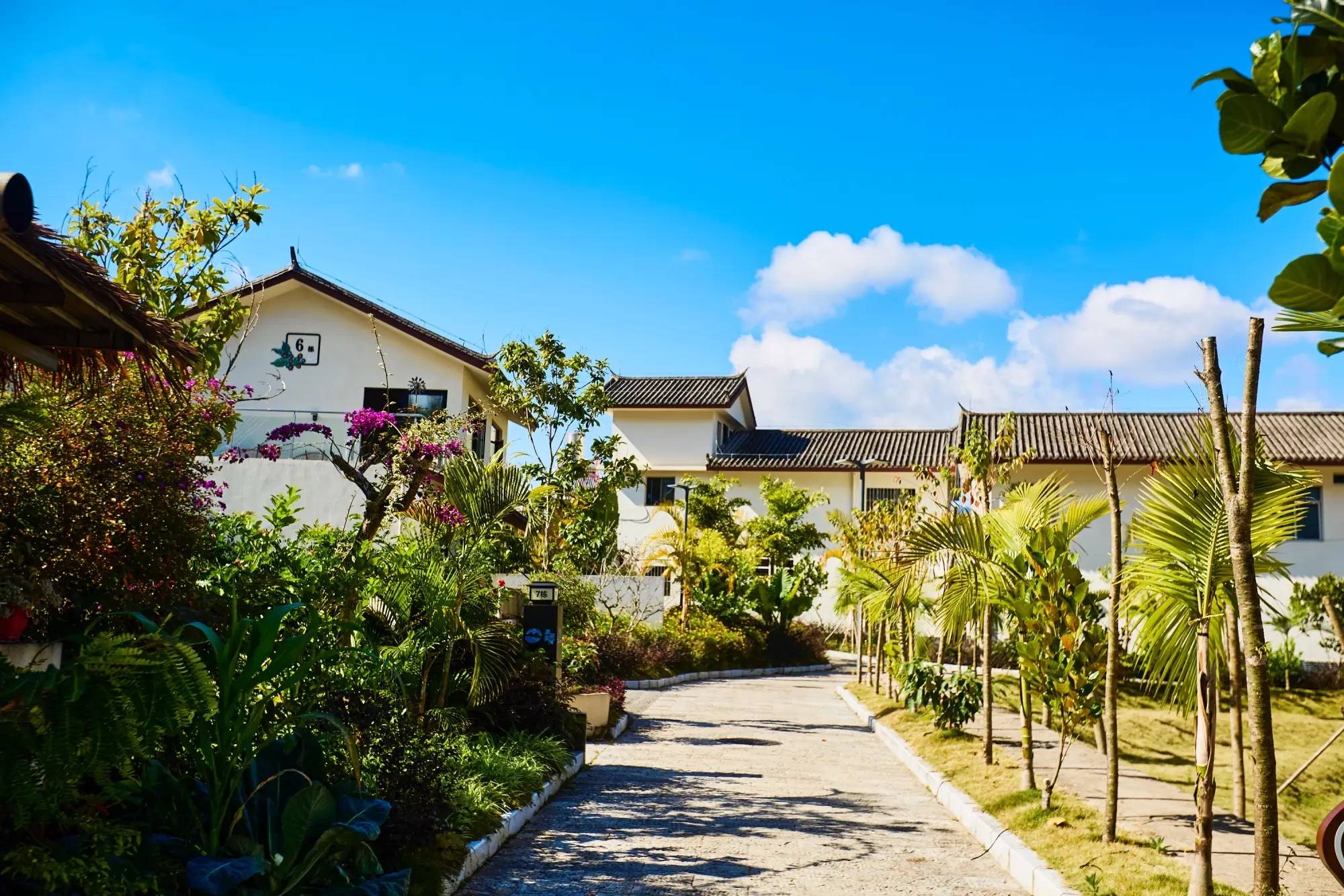 丽星村云南本土与现代技艺交融的咖啡文化生活PG电子麻将胡了2模拟器普洱思茅南岛河