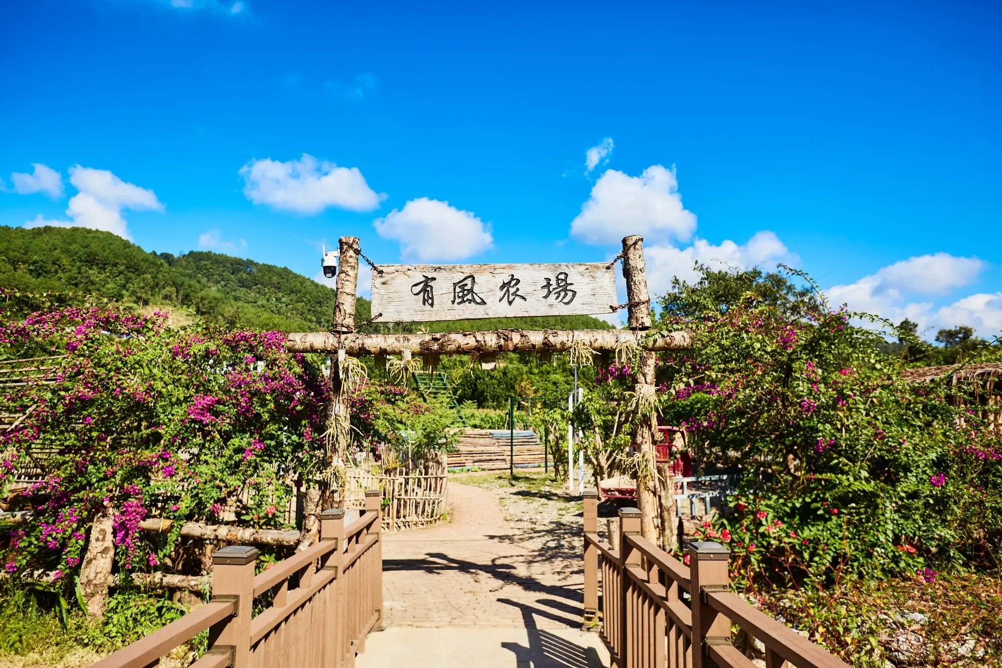 丽星村云南本土与现代技艺交融的咖啡文化生活PG电子麻将胡了2模拟器普洱思茅南岛河村美(图2)